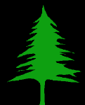 Forrest Website Design, Web Promotion, Support and search engine optimization, SEO - optimizing for Costa Rica hotels, resorts, spas, rent a cars, tour and travel agencies, real estate, Spanish language schools, bed and breakfast, rental cars and tourism